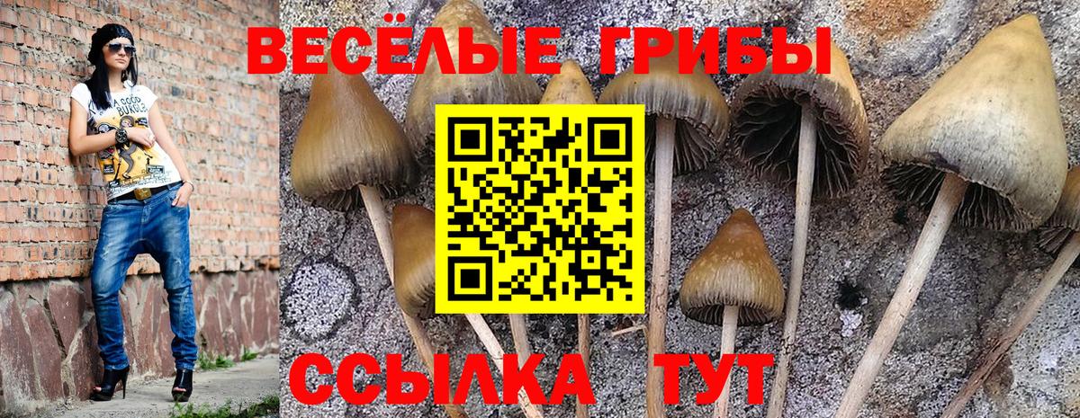Галлюциногенные грибы прущие грибы Александров