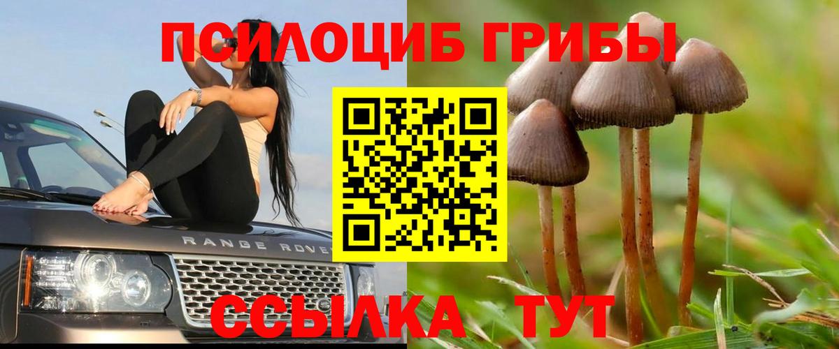 Галлюциногенные грибы Cubensis  Галлюциногенные грибы ЛСД  Александров  Вход с VPN 